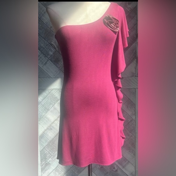 SKY NWT ONE SHOULDER RUFFLE DRESS - Picture 3 of 7